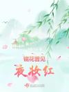 HP向阳