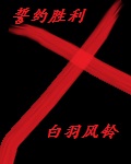 一叶声声